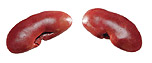 Muscle Flat Iron