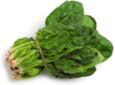 Spinach